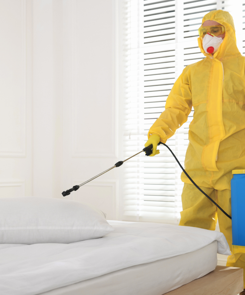 Professional Pest Control Team in Highbury